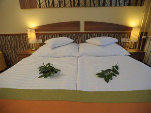 Park Hotel 3*